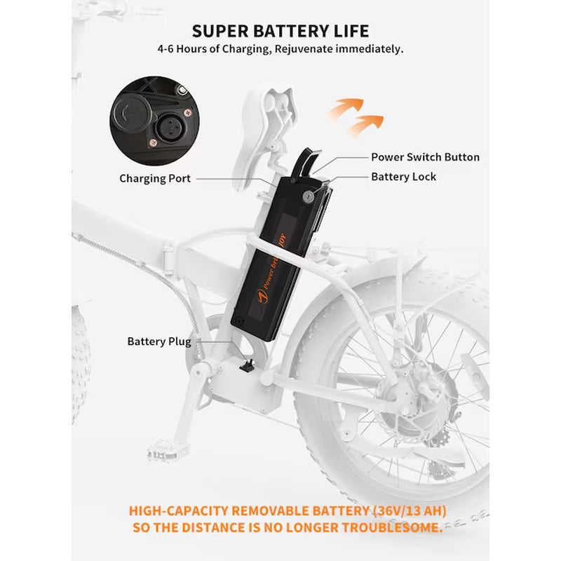 20-In Adult Unisex E-Bike