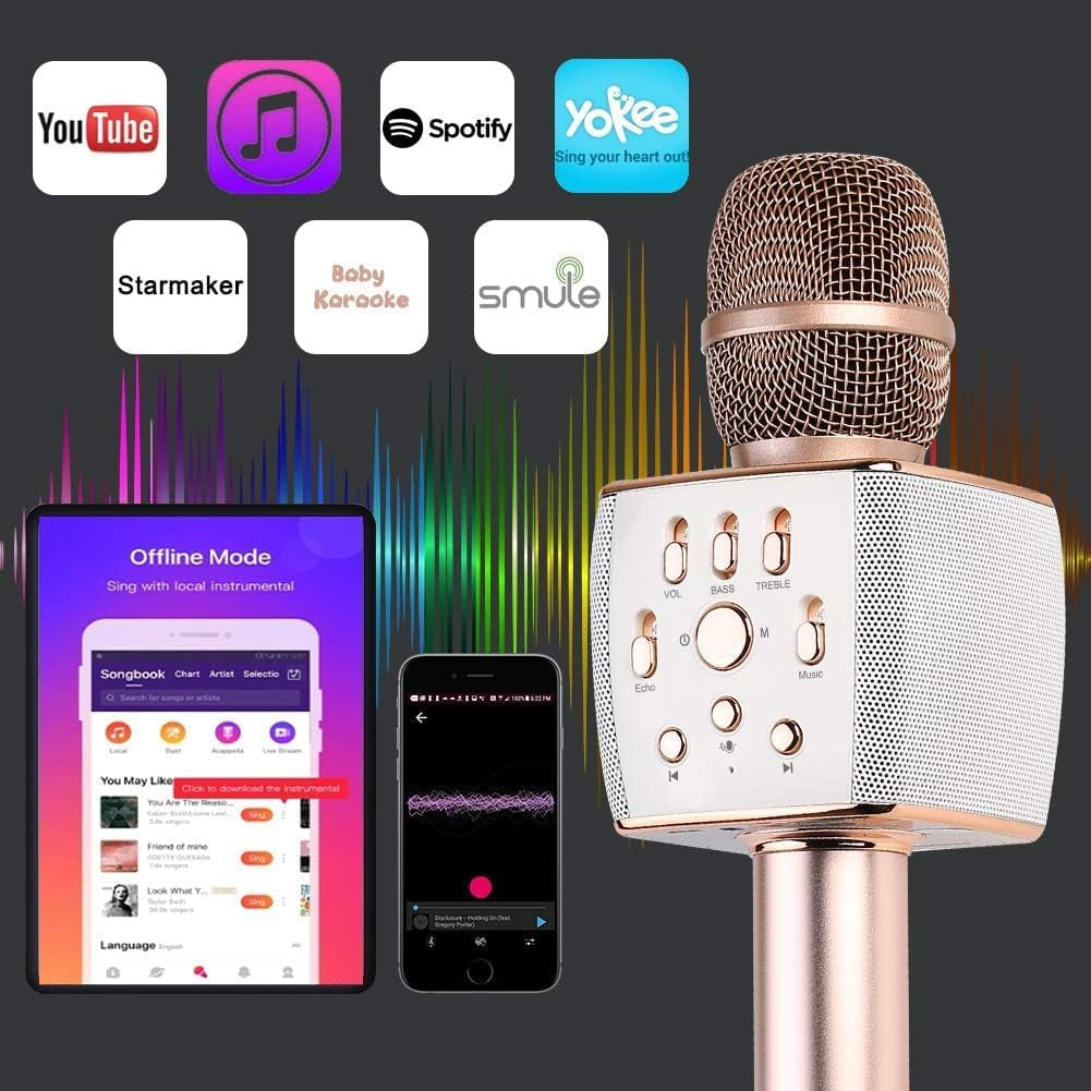 2X13W Cardioid Dynamic Karaoke Microphone, Handheld Wireless Bluetooth Karaoke Systems Karaoke Microphone for Home/Outdoor/Party/Classroom/Car (Rosegold)